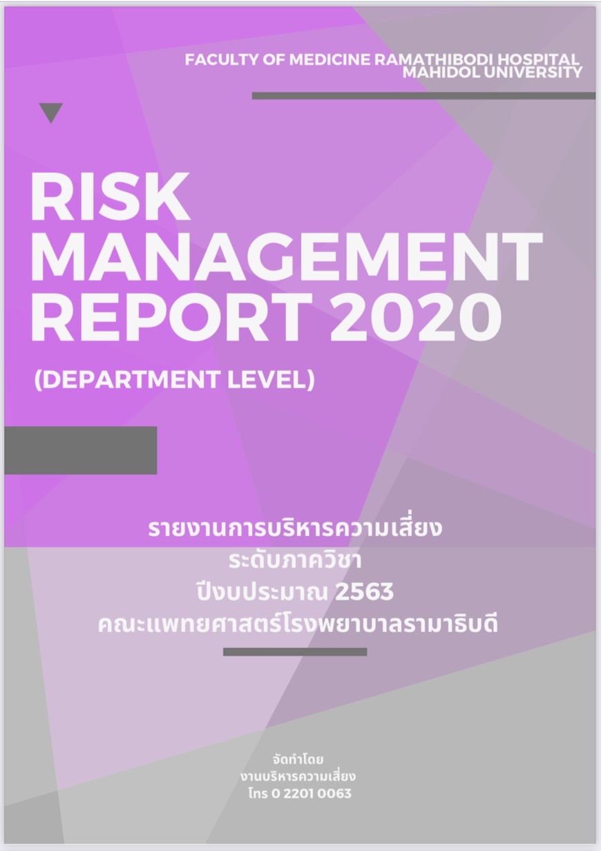 Risk Management Website Report 2561